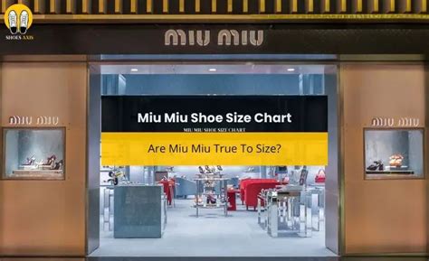 miu miu headquarters|miu size chart.